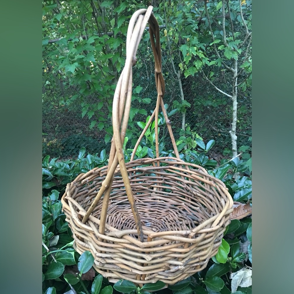 Large Willow Basket